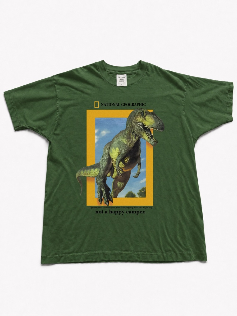 Forest Green T‑Shirt with Yellow Framed Dinosaur Graphic